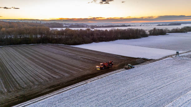tractor